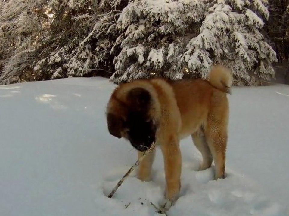 2011-03-04 - Revard (Crolles) - 3