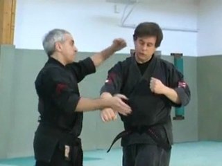 Kenpo techniques hawaiiennes