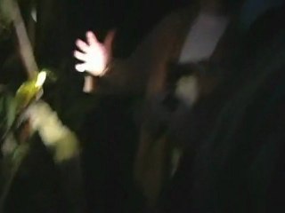Alien Captured On Camera Greys Eye