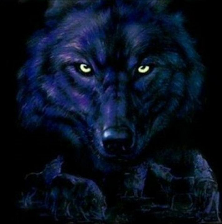 Little Red Riding Hood - Sam The Sham & The Pharaohs