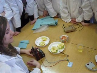 Festiwal Młodego Odkrywcy