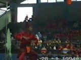 Pencak Silat Indonesia Martial Arts 02