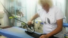Services de pressing, blanchisserie à Nice