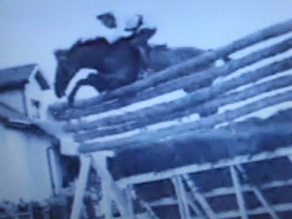 Saut d'obstacle