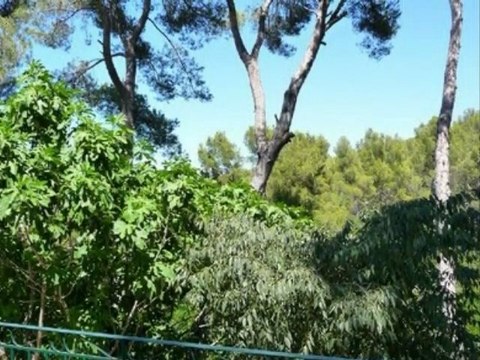 Location maison de vacances + piscine privée en Provence