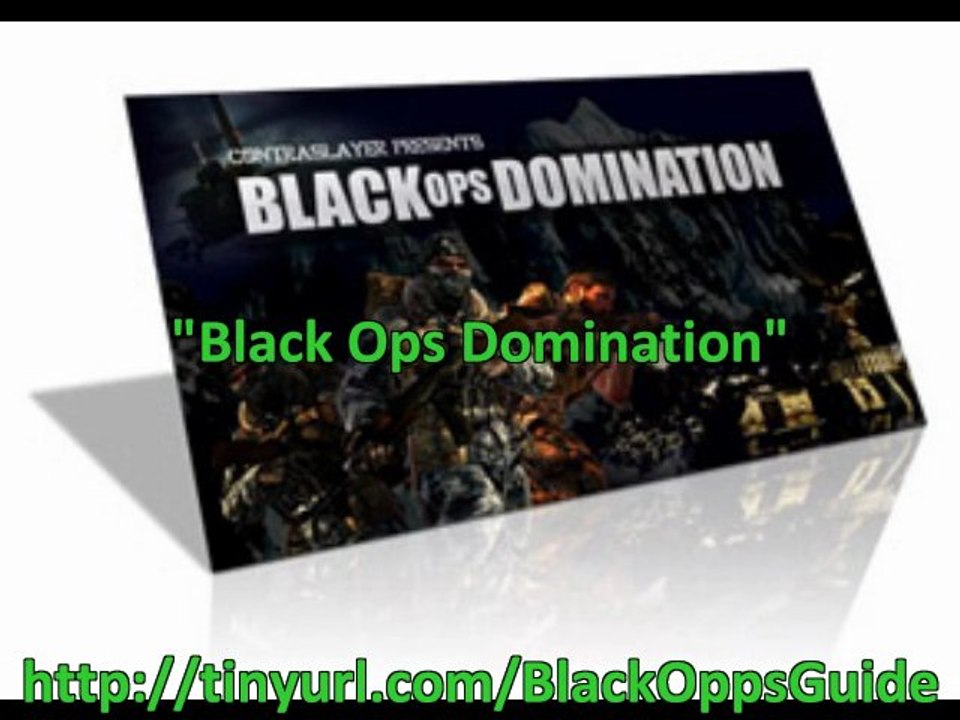 Call of Duty Black Ops Online Guide