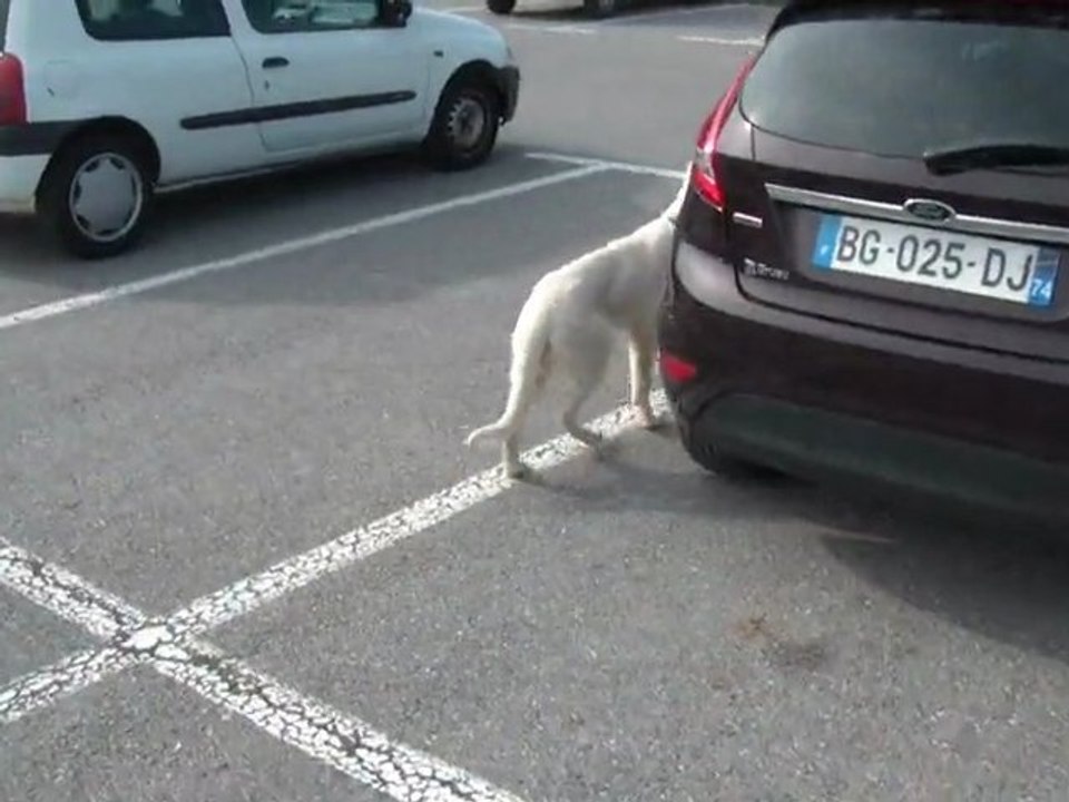 Tilou 5 mois... qui parle ;)