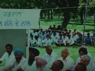 The Lion of Punjab (2011) DVDScr [Panjabi]_chunk_7