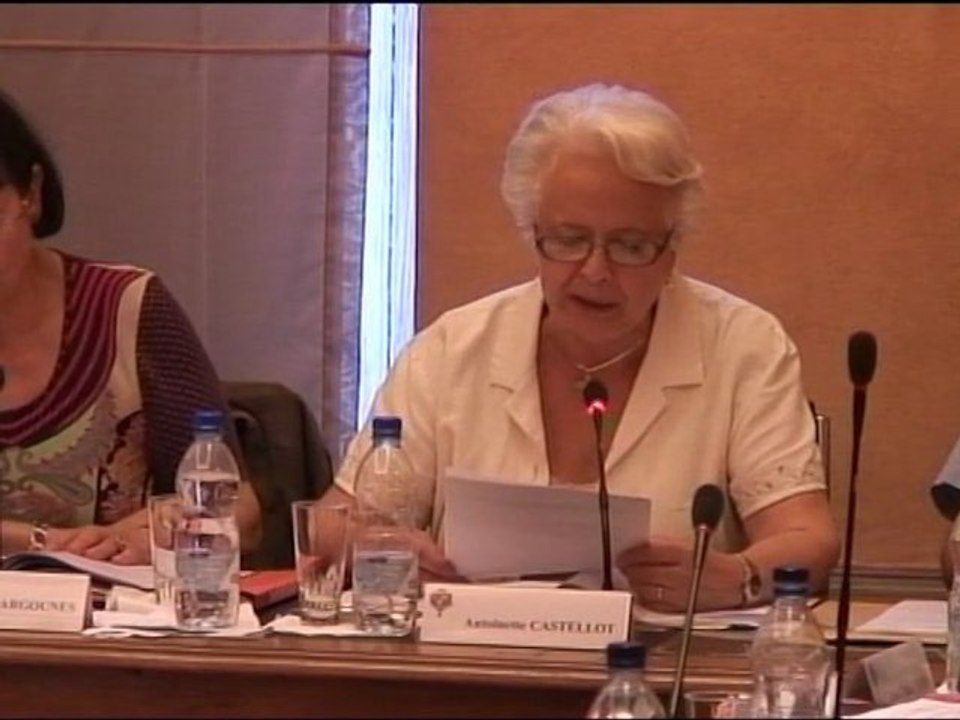 Conseil municipal de Tarbes du 28 juin 2010