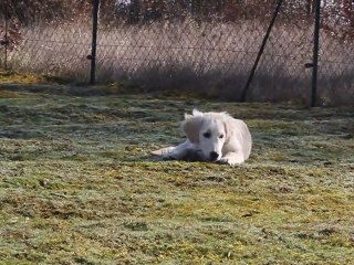 Fendi et ses copines.