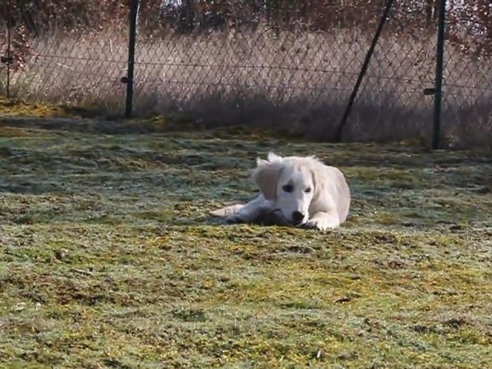 Fendi et ses copines.