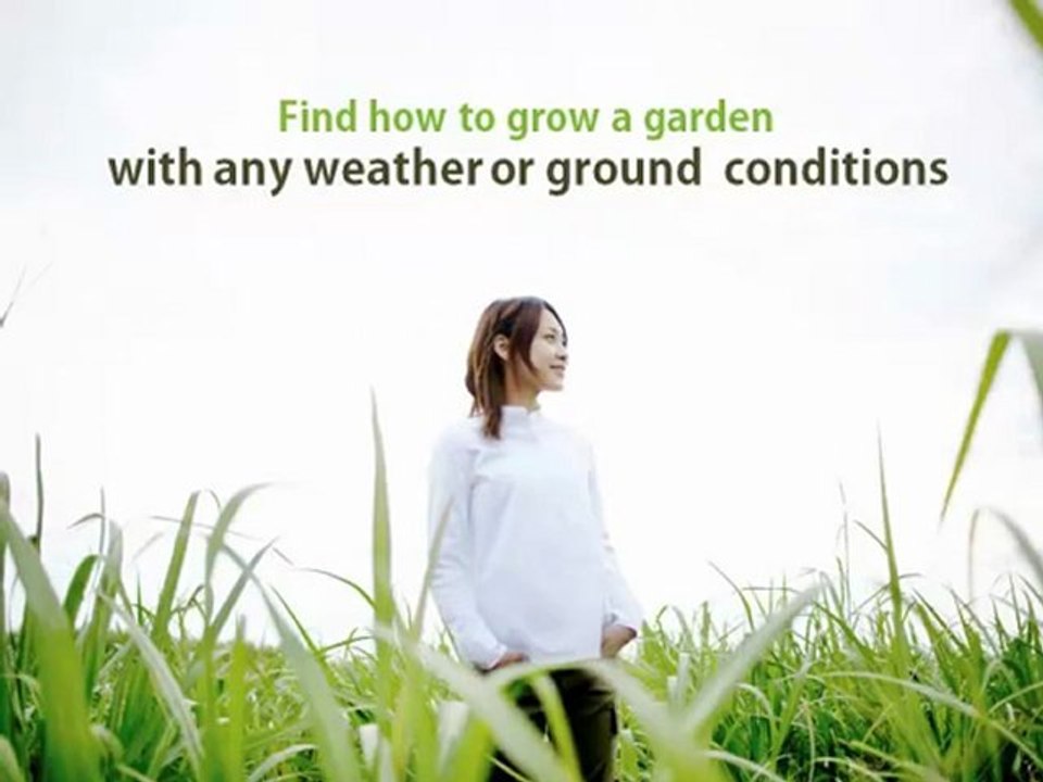 How to gardening:our top pick for gardening learning resourc