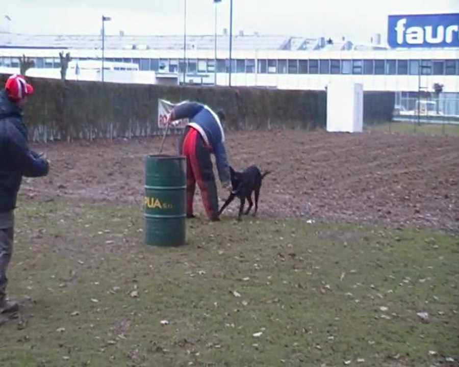 Cheyenne a l entrainement de ring ...