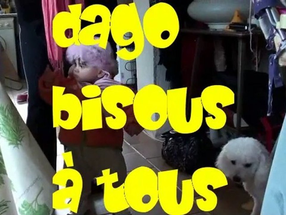 MES AMIS TOUTOUS