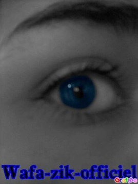 WAFA-ZIK-OFFICIEL