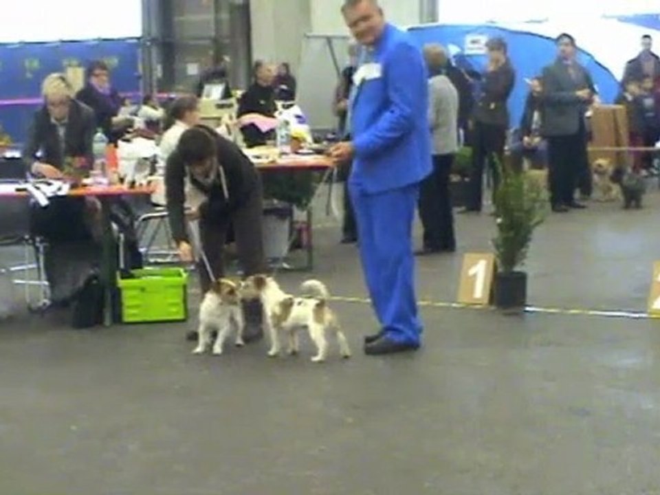 Exposition Fribourg février 2011