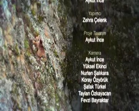 Baharı Beklerken Belgeseli -Bozayı (Kestane) Tanıtım Videosu