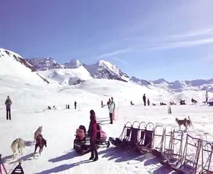 ballade en traineau arnaud8339