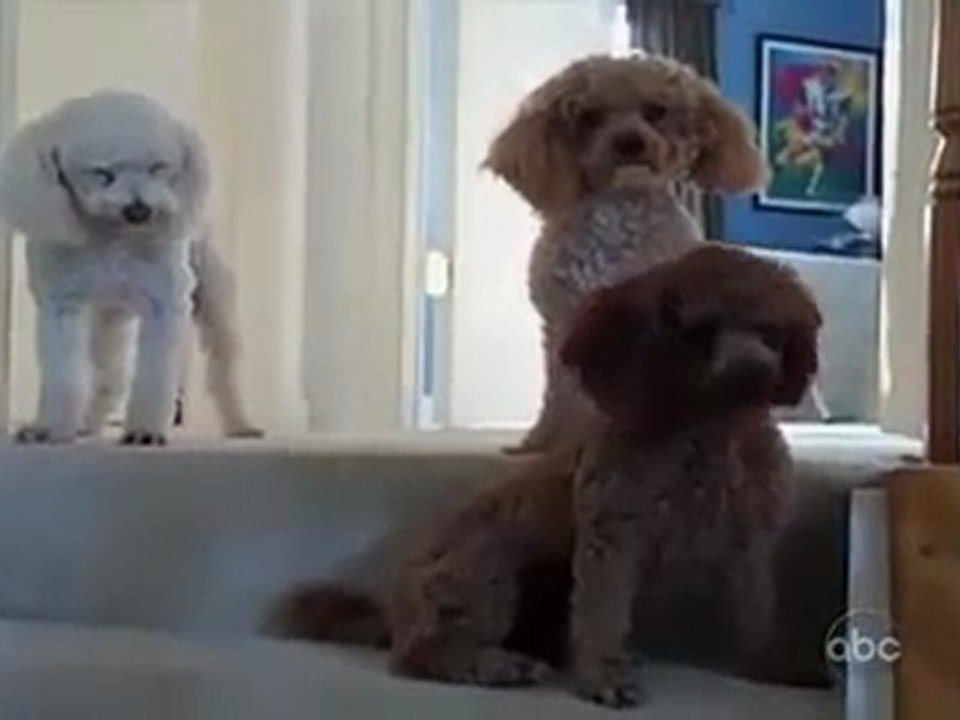 Qui c'est le coupable