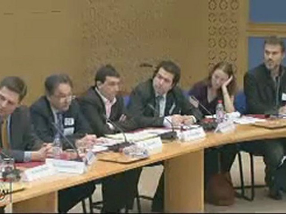 Michèle Tribalat . La substitution ethnique chiffrée