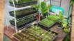 Greenhouse Plans To Build Your Own Greenhouse