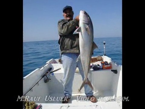 (EMBERJAG)Kuzu balığı JİGGİNG