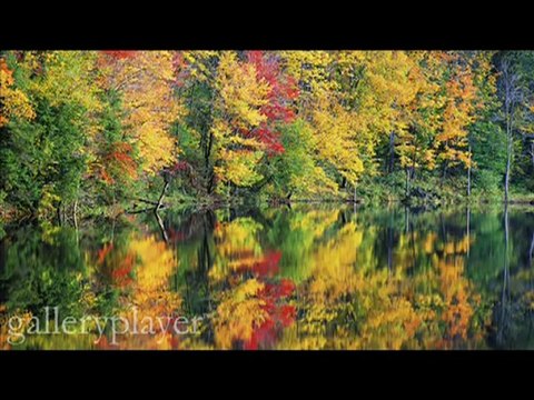 نشيد أنا العبد الذي كسب الذنوب- al afasy nashid