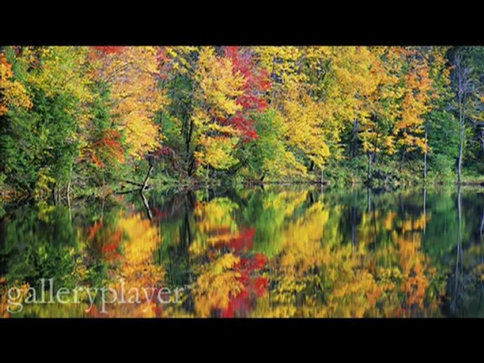 نشيد أنا العبد الذي كسب الذنوب- al afasy nashid