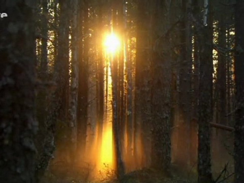 Scandinavie sauvage - La Finlande_1/3_Mer 23 fév 2011