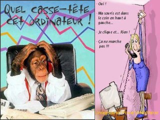 Salut Bonjour-03-05-10-52_wmv