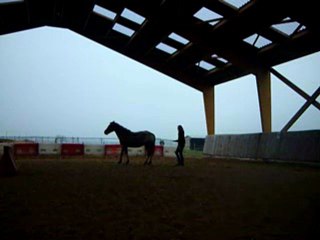 séance jeux en liberté février 2011