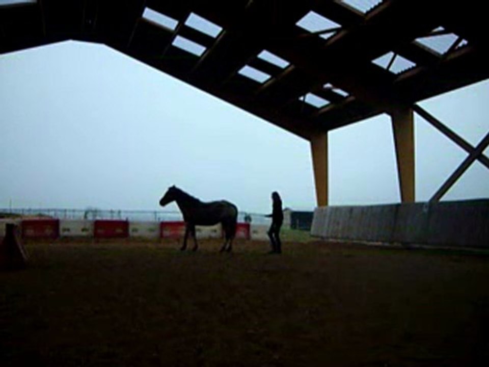 séance jeux en liberté février 2011