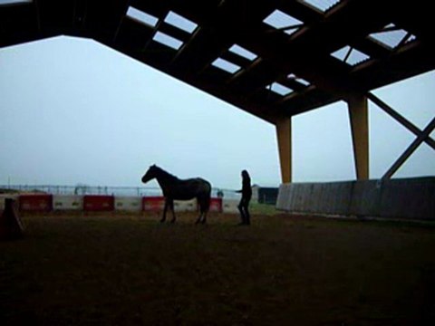 séance jeux en liberté février 2011