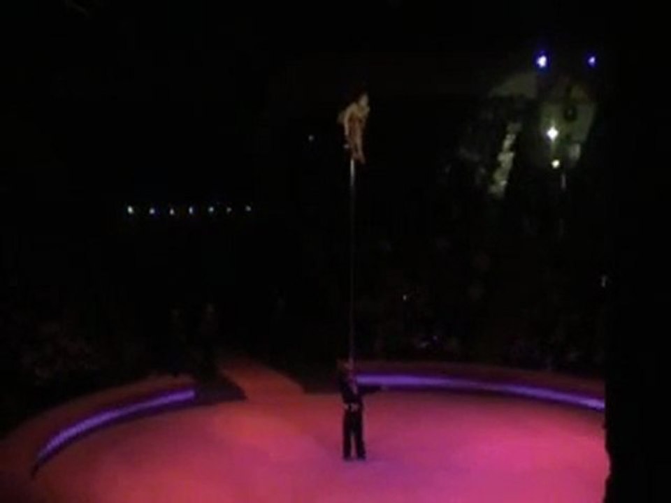 EKATERINA SHELUDYAKOVA-silk-presents Art agency Valentino