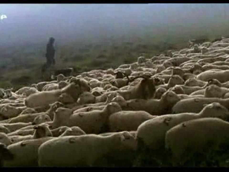 La face sauvage des Pyrénées - La saison des lumières (2)