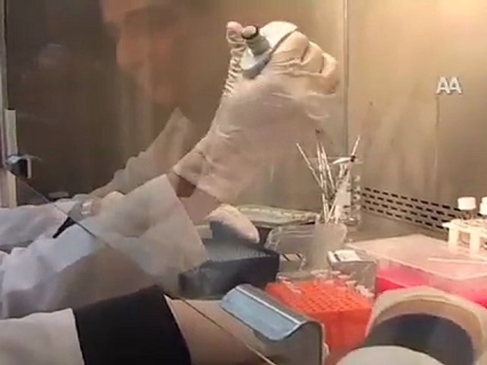 HAFIZA HÜCRELERİ ÜRETİLDİ