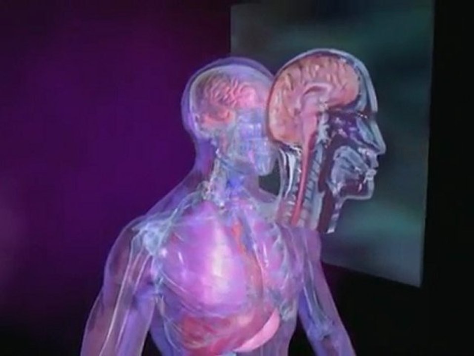 What Is an MRI? | Chiropractor in Atlanta | Gainesville