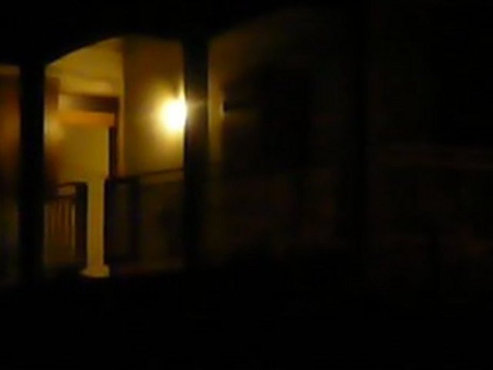 La nuit des grenouilles aux Antilles