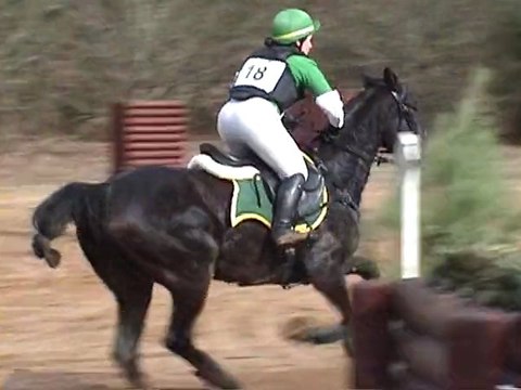 Virginie cross st mars