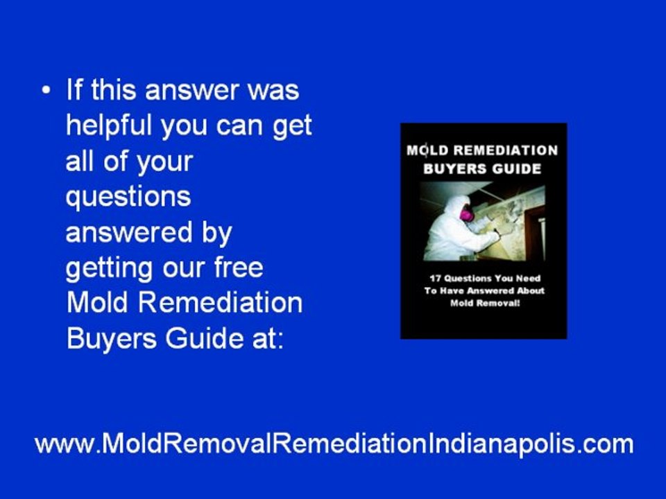 Mold Removal Indianapolis