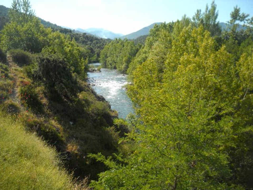 S'avissi
