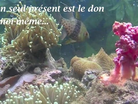 JE T'OFFRE film-paroles-poème de R-France GHARBI-BOURDARIE