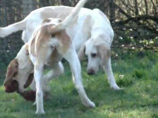 Une balade en famille