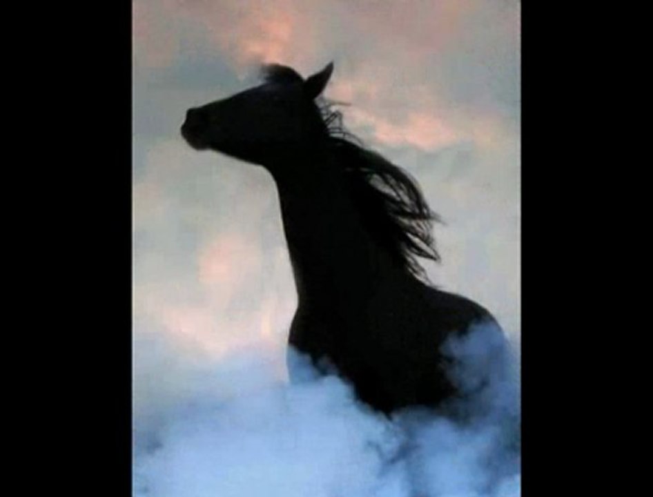 Yeni Türkü - Samsun Asfaltı