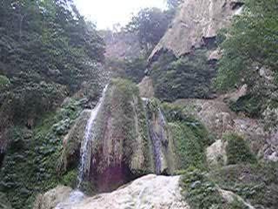 DSCN0801