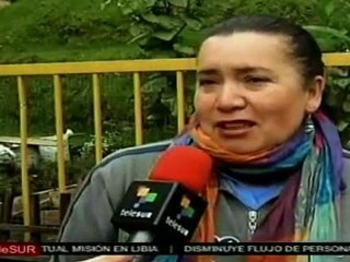 Agricultura urbana como alternativa a para garantizar seguri