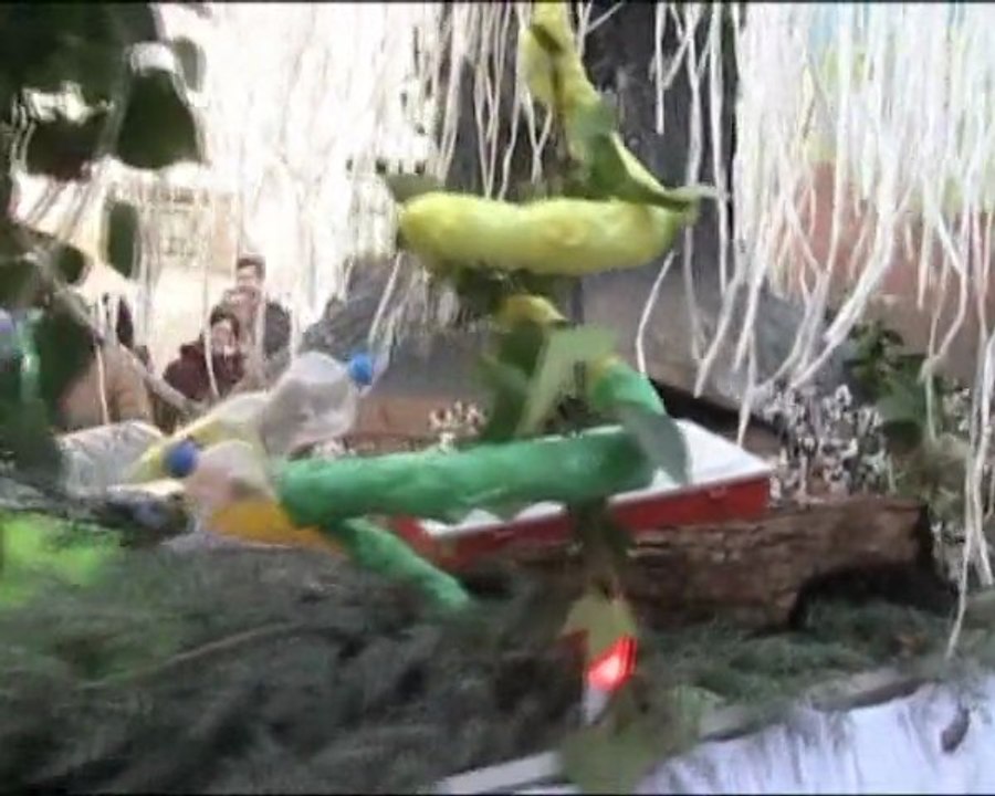 Carnaval en Santa Cruz de la Zarza (I)