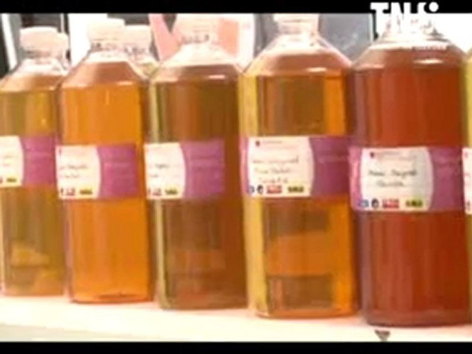 Sonia ALINE - Portrait Célébrité - Cosmetic Academy Saison 3