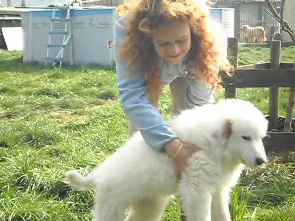 Elevage de la Vallée du Girou ( Mars 2011)