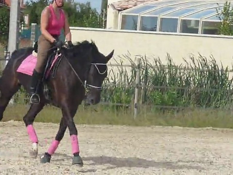 romantic dressage septembre 2010